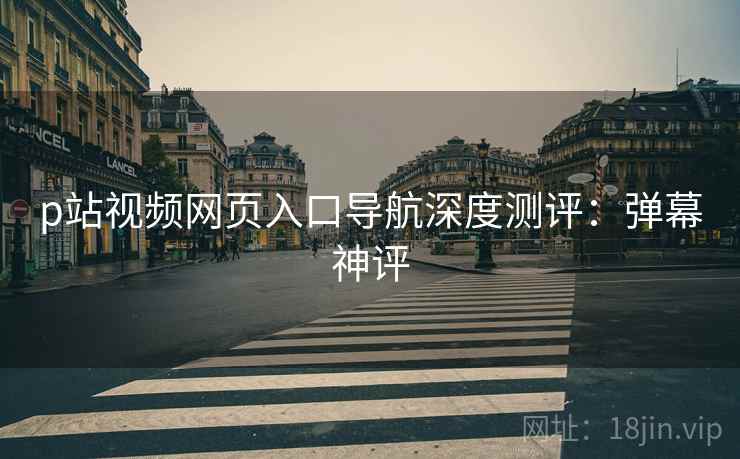 p站视频网页入口导航深度测评：弹幕神评