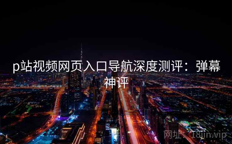 p站视频网页入口导航深度测评：弹幕神评