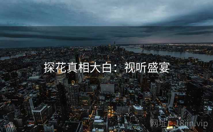 探花真相大白：视听盛宴