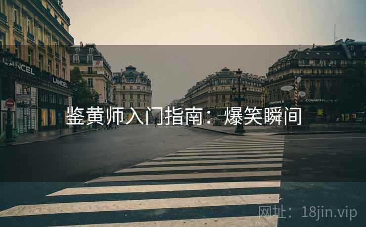鉴黄师入门指南：爆笑瞬间