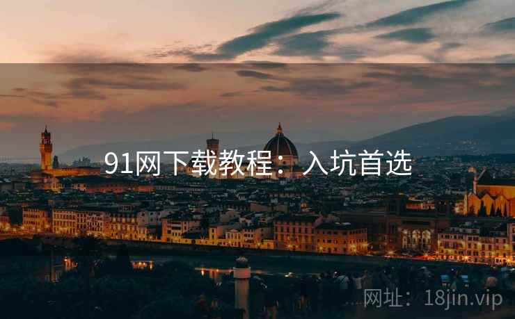 91网下载教程：入坑首选