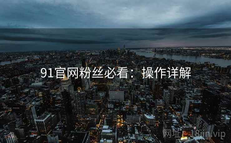 91官网粉丝必看：操作详解