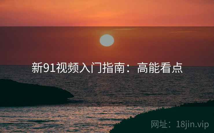 新91视频入门指南：高能看点