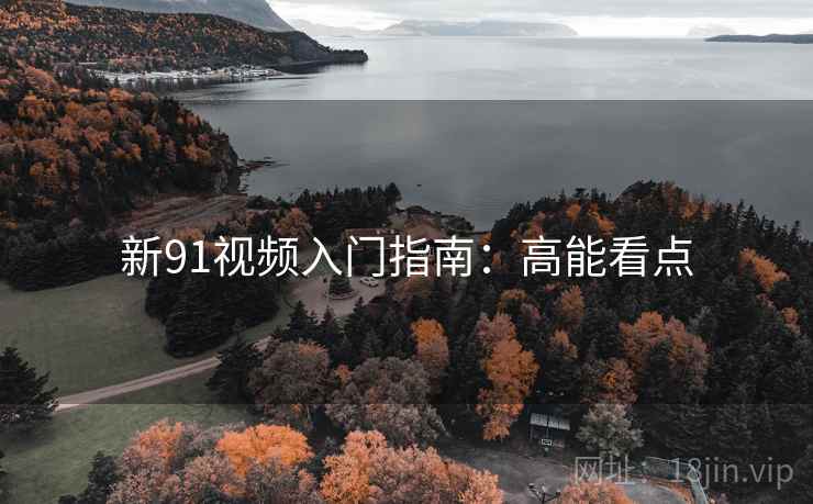 新91视频入门指南：高能看点